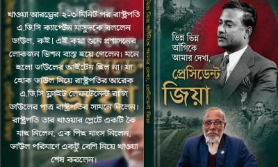 ভিন্ন ভিন্ন আঁঙ্গিকে আমার দেখা, প্রেসিডেন্ট জিয়া